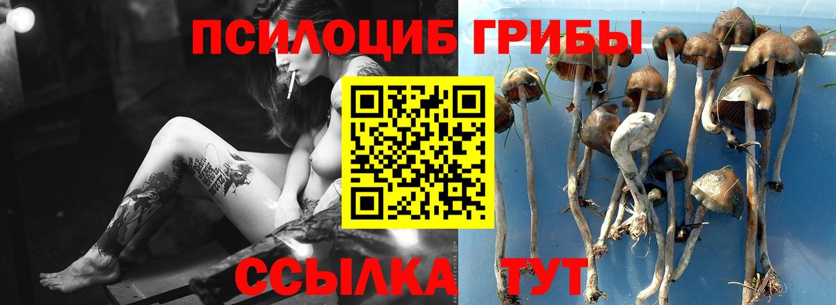 Галлюциногенные грибы Magic Shrooms  закладка  Богородск  Вход с VPN  Галлюциногенные грибы ЛСД 